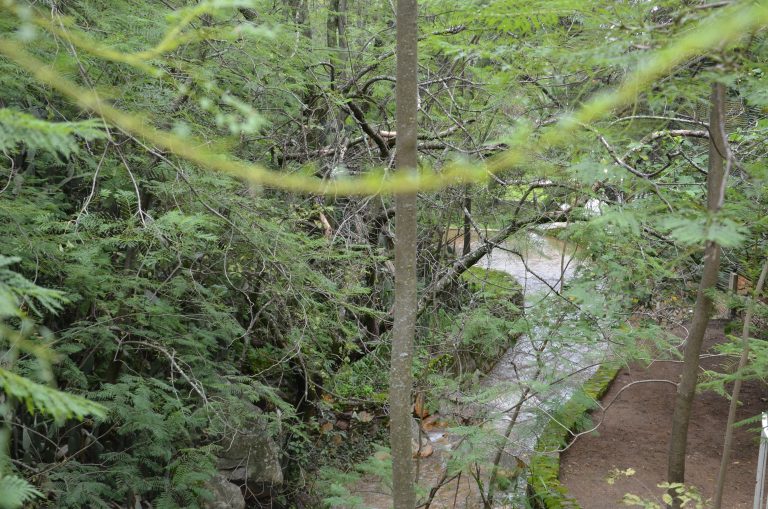 Percurso da água da cachoeira da Srª. Monte-EPASH/2026